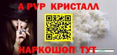 Альфа ПВП Моздок