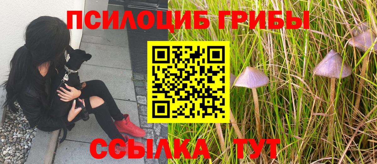 ГАШИШ Ставрополь