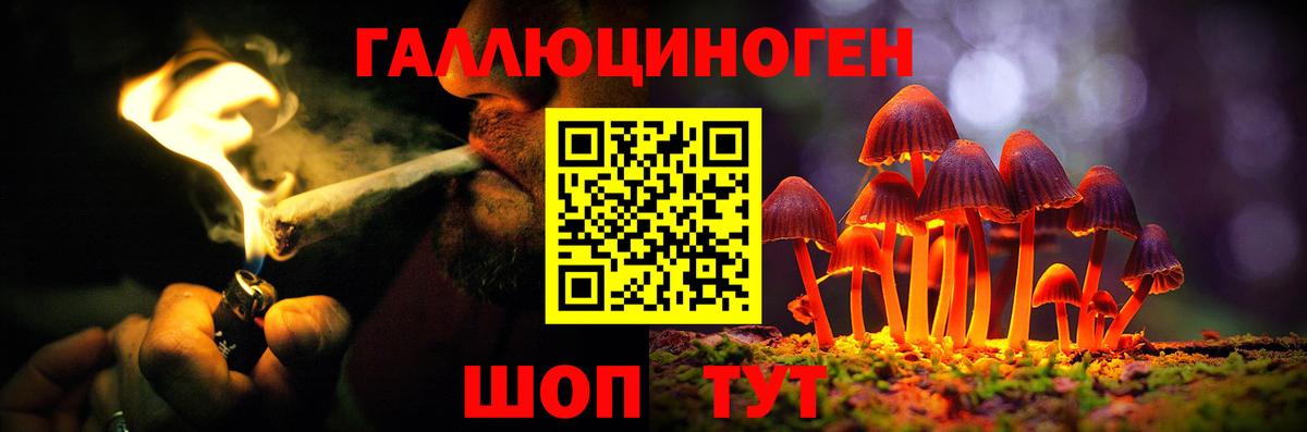 Галлюциногенные грибы GOLDEN TEACHER  Псилоцибиновые грибы Psilocybine cubensis  Вход с VPN  Ставрополь 