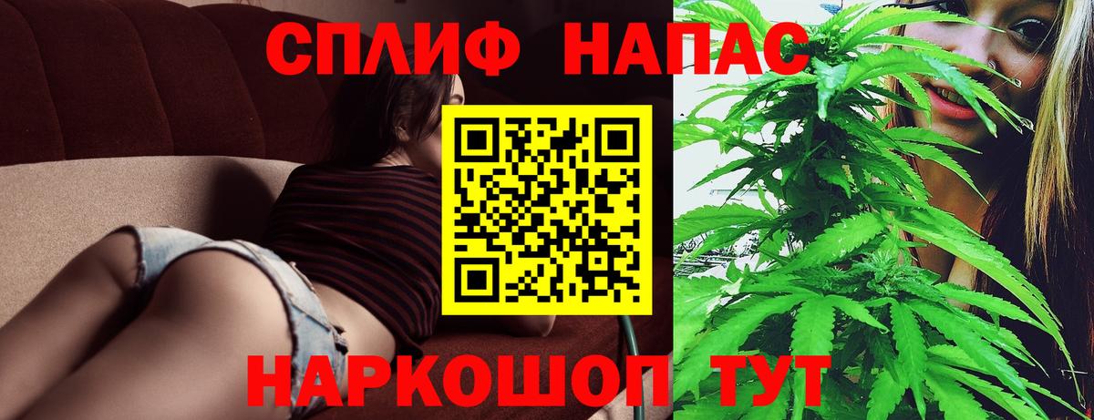 Каннабис ГИДРОПОН Ставрополь